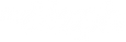 white myaleph logo